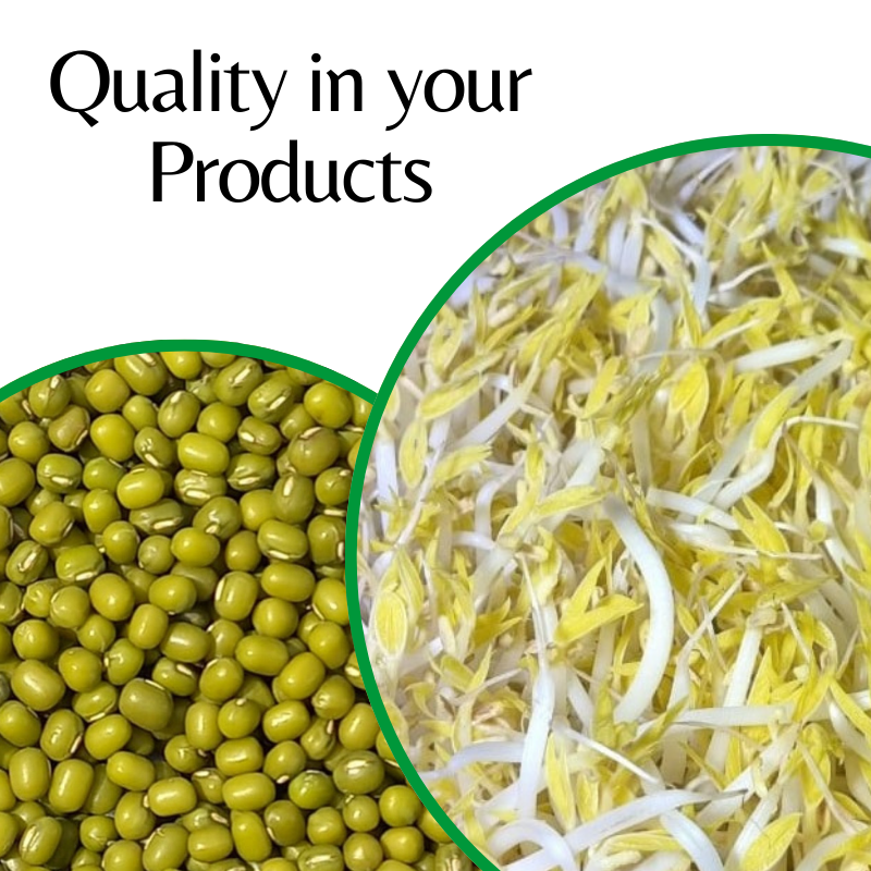 Agregar un título (7)