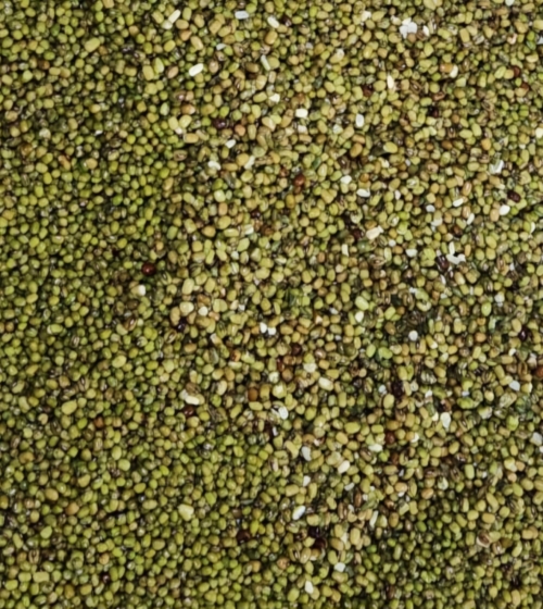 Descarte de frijol loctao