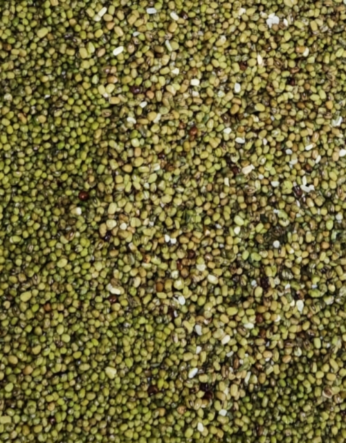 Descarte de frijol loctao