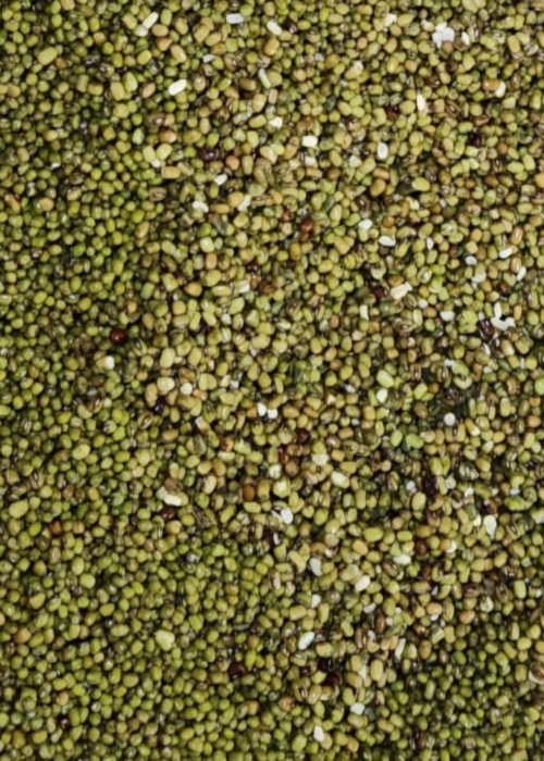 Descarte de frijol loctao