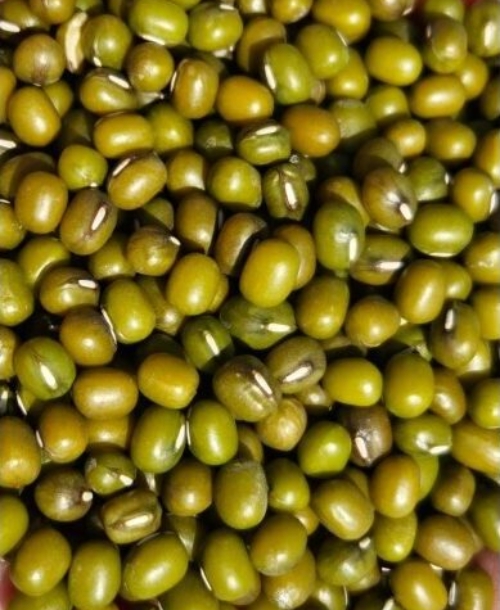 WhatsApp Image 2025-01-11 at 3.09.00 PM