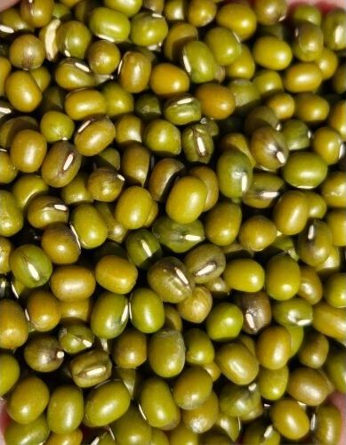 WhatsApp Image 2025-01-11 at 3.09.00 PM